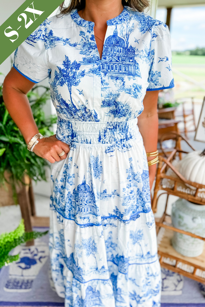 Camille™ | Elegant Toile Maxi Dress